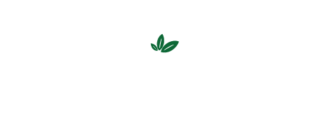 MakeTea