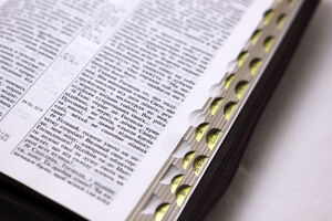 Bibles for Everyone, Everywhere