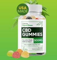 Canna Organic Green CBD Gummies Review: Scam or Legit? Serious Side Effects Risk?