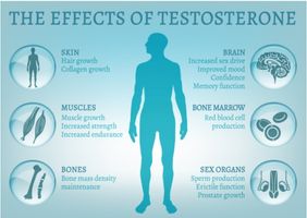 Vorteile von Monster XL Testosterone Booster