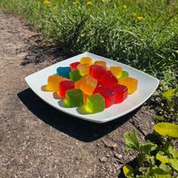 Bioxtrim Gummies: The Key to a Healthier Lifestyle