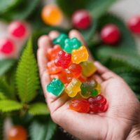 Cured Nutrition Serenity Gummies  Reviews (BiGGest hYpe EXposed 2024) sHocking IngredientS OffER$49