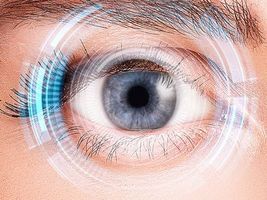 Sight Care Reviews – Eye Vision Analysis 2024 (Sight Care Pills Canada) Should You Buy Or Not?