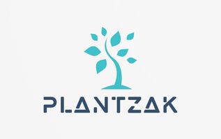 Online winkel