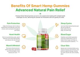 Smart Hemp Gummies New Zealand Reviews – Alarming Warning to Worry About? Shocking Truth!