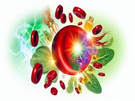 Tru Cluco Blood Support Gummies: Regulate Your Blood Sugar Levels