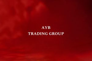 AYB TRADING GROUP