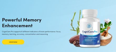CogniCare Pro Cognitive Support