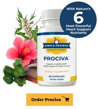 What is Prociva?