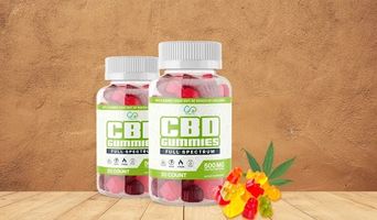 Herbal Harmony CBD Gummies (2024) 100% Safe, Does It Really Work Or Not?