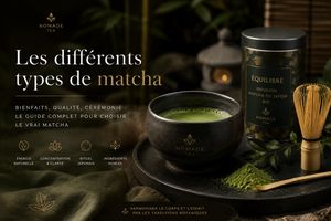 Les différents types de matcha : comment reconnaître un véritable matcha de qualité ?