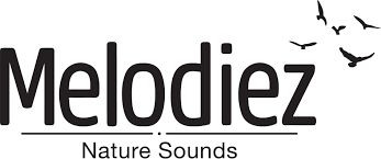Melodiez Naturebox