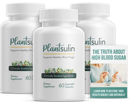 PLANTSULIN™ Blood Sugar Support How Can Function?
