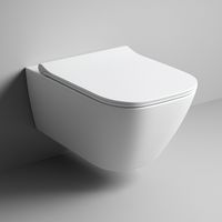 Cuvette suspendue Geberit Smyle Rimfree avec abattant déclipsable et anti-bactérien soft-close