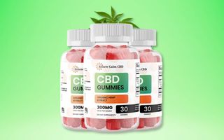 Renew Calm CBD Gummies Reviews:-Fixings, Advantages and Cost!