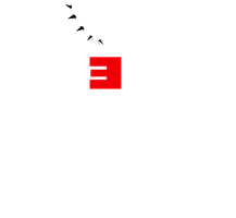 THE PAWESOME DOG