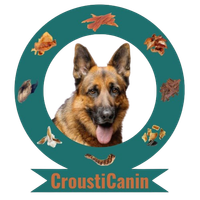 CROUSTICANIN