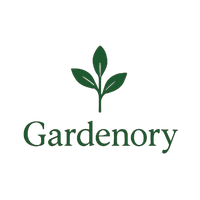Online Store