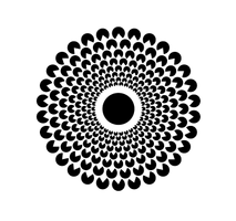 SpreeRausch