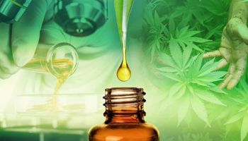 Smart Hemp CBD Oil Australia