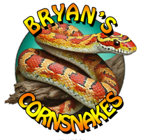 Bryans Cornsnakes