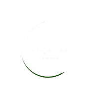 Online Store