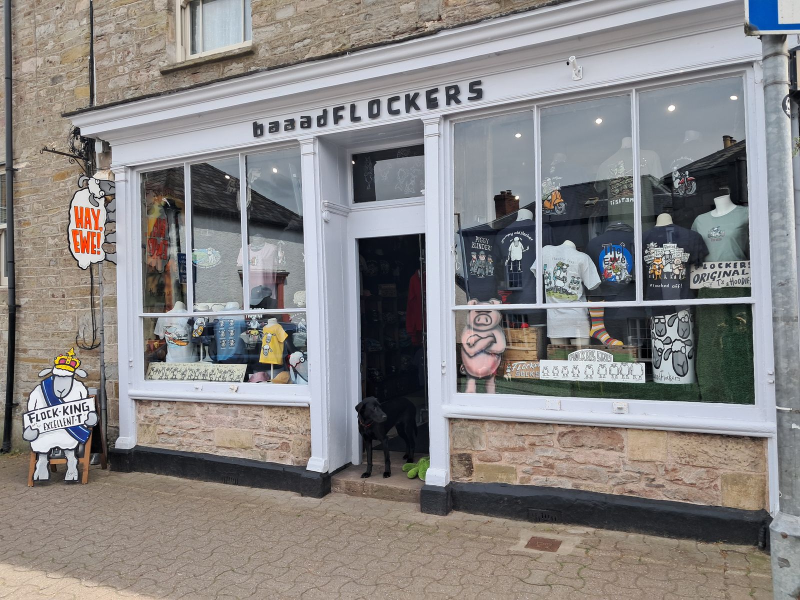 Two Shops, One Flock: Visit Baaad Flockers in Hay-on-Wye and Brecon