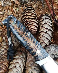 Knife with pinecone in resin handle, featuring a stabilized natural pinecone embedded in clear resin with intricate organic texture, ideal for custom knifemaking and unique handle designs