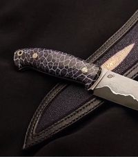 Coral stabilized inlay knife with fossil handle material