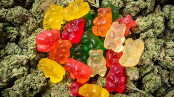 K2 Life CBD Gummies Cost 2024