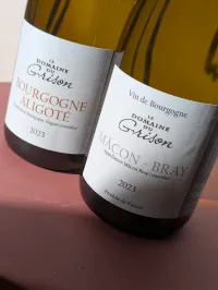 <p>7 tips voor het vinden van jouw perfecte Bourgogne wijn</p>