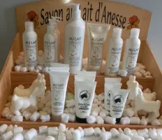 Magasin en ligne /joel