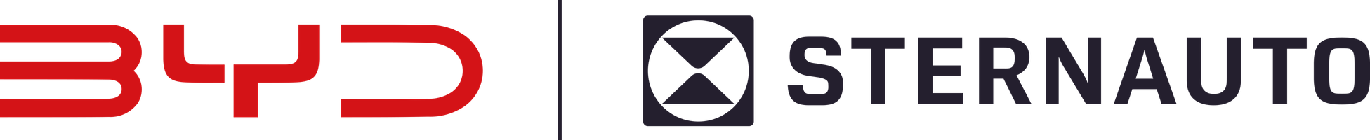 BYD Sternauto
