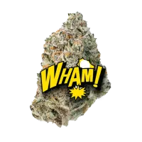 whamleafs.com