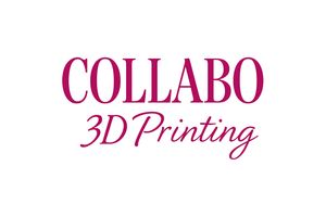 Collabo 3D printing