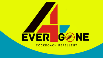 Online Store