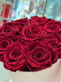 🌹 Infinity Rosen: Grundlagen, Herstellung, Haltbarkeit, Unterschiede, FAQ