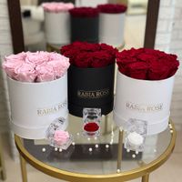 <p>Was sind Infinity Rosen? Alles Wissenswerte einfach erklärt</p>