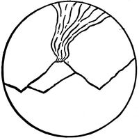 Giardini ColeRinger