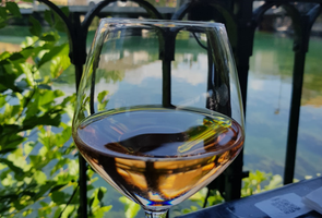 Vin-Rosé.de