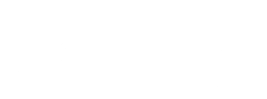 Niels Steinmeier Photography