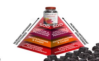 Cellev8 ReDrive cellular support you need to thrive
