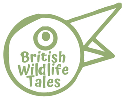 British Wildlife Tales