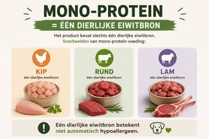 Infographic over mono-protein hondenvoer met kip, rund en lam als voorbeelden van één dierlijke eiwitbron.