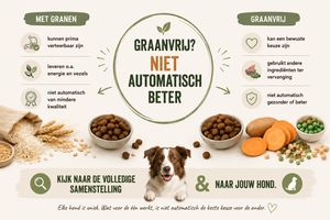 Infographic over graanvrij hondenvoer en hondenvoer met granen, met uitleg waarom graanvrij niet automatisch beter is.