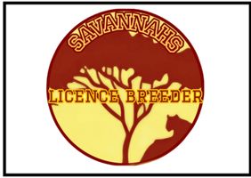 SotonSavannahs