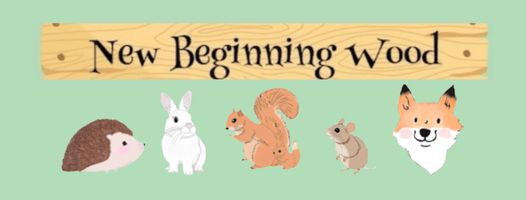 New Beginning Wood