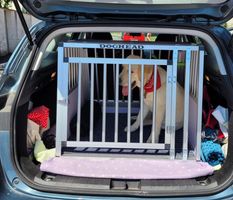 Transportna kletka za psa - zakaj jo uporabljati in kako izbrati pravo?