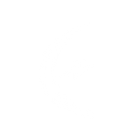 ELEMENTARI