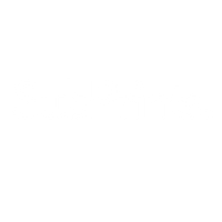 Subprints